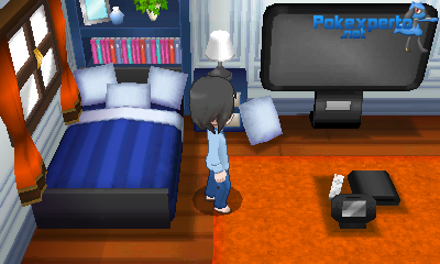 Gua Pokmon XY