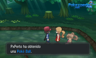 Gua Pokmon XY