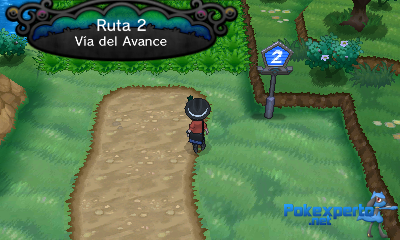 Gua Pokmon XY