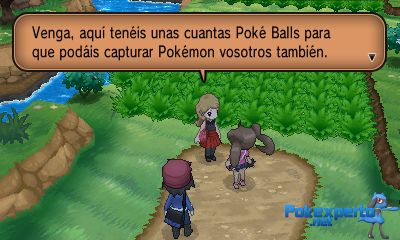 Gua Pokmon XY