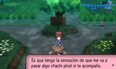 Gua Pokmon XY