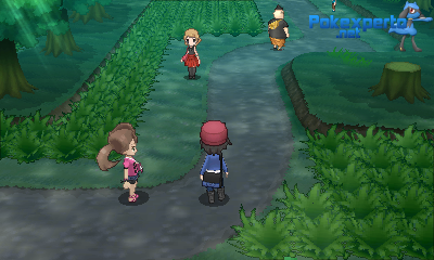 Gua Pokmon XY