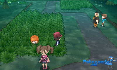 Gua Pokmon XY