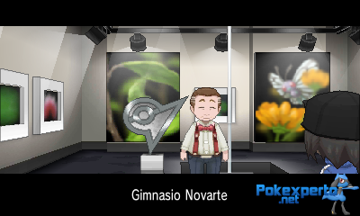 Gua Pokmon XY