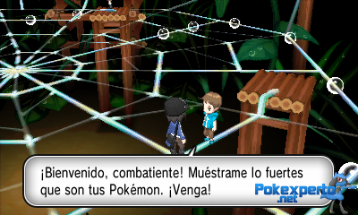 Gua Pokmon XY