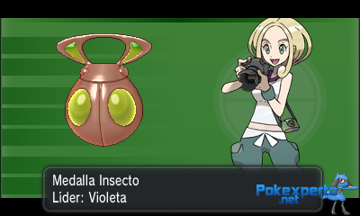 Gua Pokmon XY