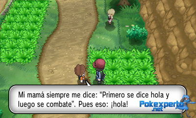 Gua Pokmon XY