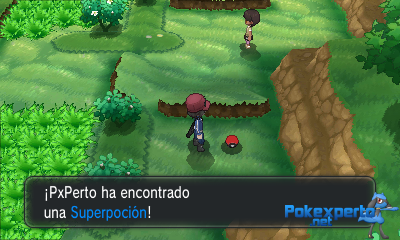 Gua Pokmon XY