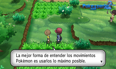Gua Pokmon XY