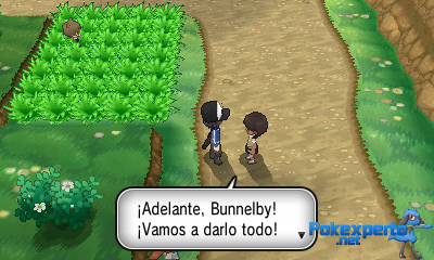 Gua Pokmon XY