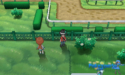 Gua Pokmon XY