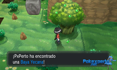 Gua Pokmon XY