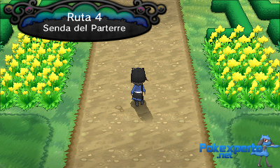 Gua Pokmon XY