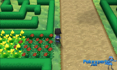 Gua Pokmon XY