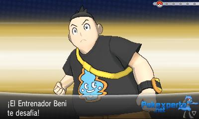 Gua Pokmon XY