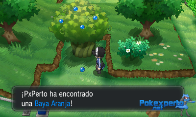 Gua Pokmon XY