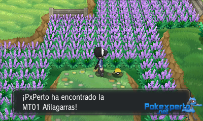 Gua Pokmon XY