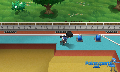 Gua Pokmon XY