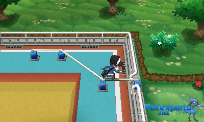 Gua Pokmon XY