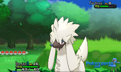 Gua Pokmon XY