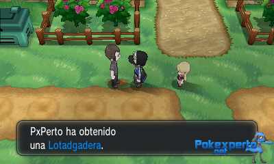 Gua Pokmon XY