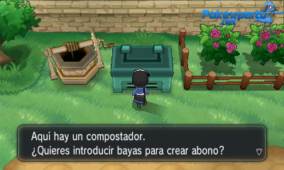 Gua Pokmon XY