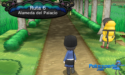 Gua Pokmon XY