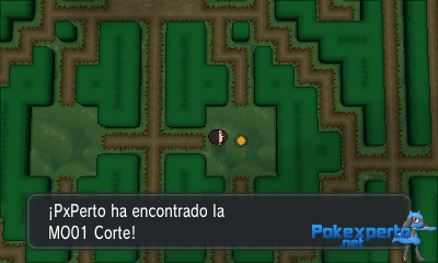 Gua Pokmon XY