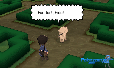 Gua Pokmon XY