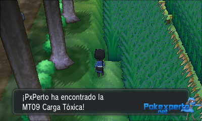 Gua Pokmon XY