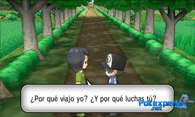 Gua Pokmon XY