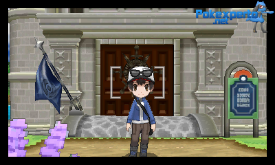 Gua Pokmon XY