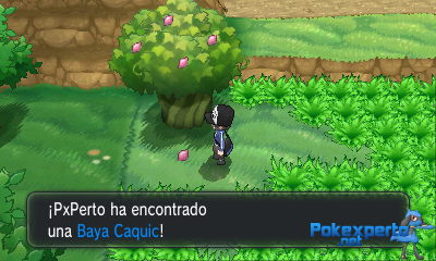 Gua Pokmon XY