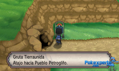 Gua Pokmon XY