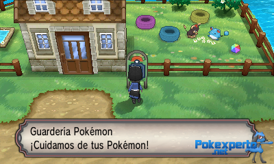 Gua Pokmon XY