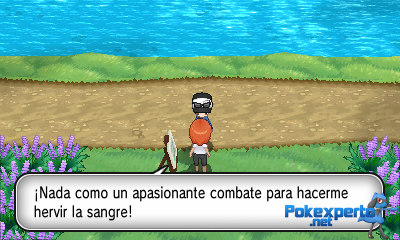 Gua Pokmon XY
