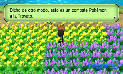 Gua Pokmon XY