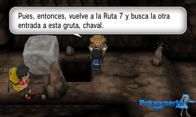 Gua Pokmon XY