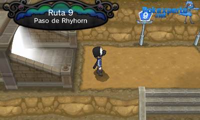 Gua Pokmon XY