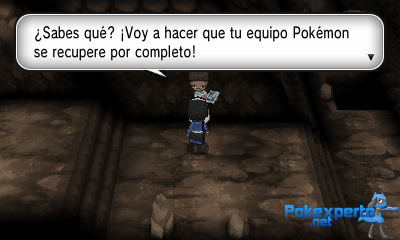Gua Pokmon XY