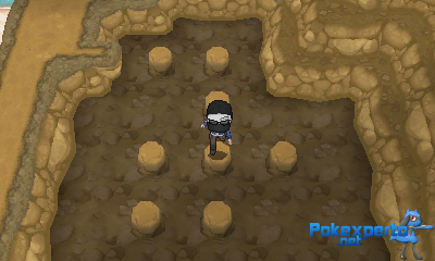 Gua Pokmon XY