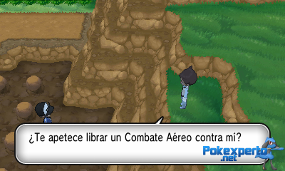 Gua Pokmon XY