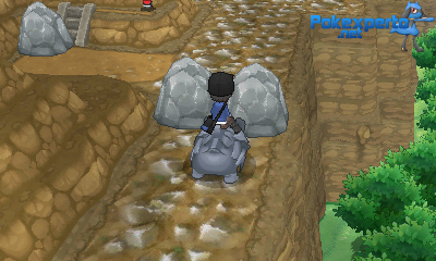 Gua Pokmon XY