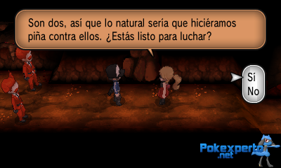 Gua Pokmon XY