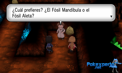 Gua Pokmon XY