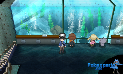 Gua Pokmon XY