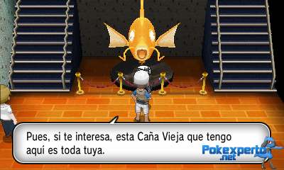 Gua Pokmon XY