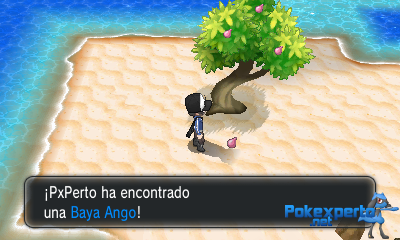 Gua Pokmon XY