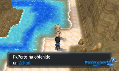 Gua Pokmon XY