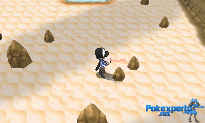 Gua Pokmon XY